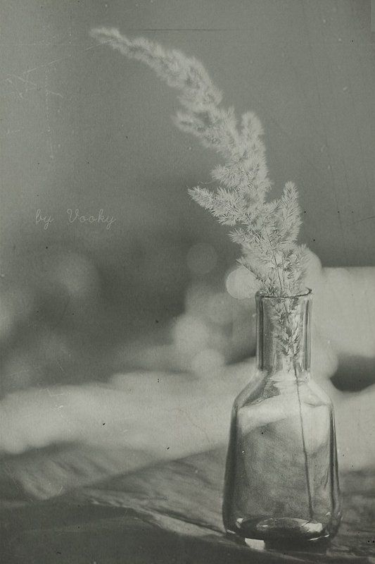 *** фото превью