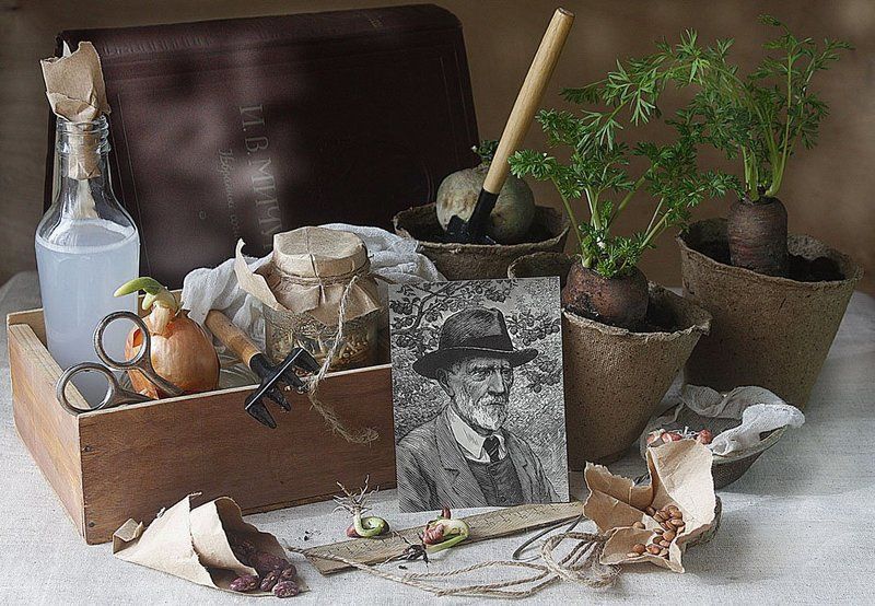 Март. Посевная.photo preview