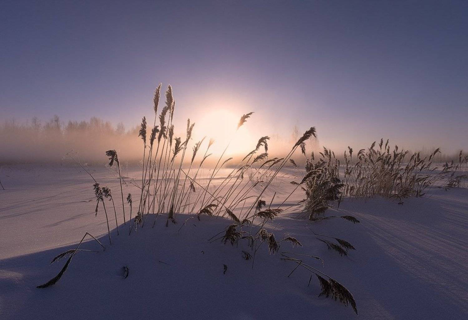 ***. Автор: zapravka2 , zapravka2