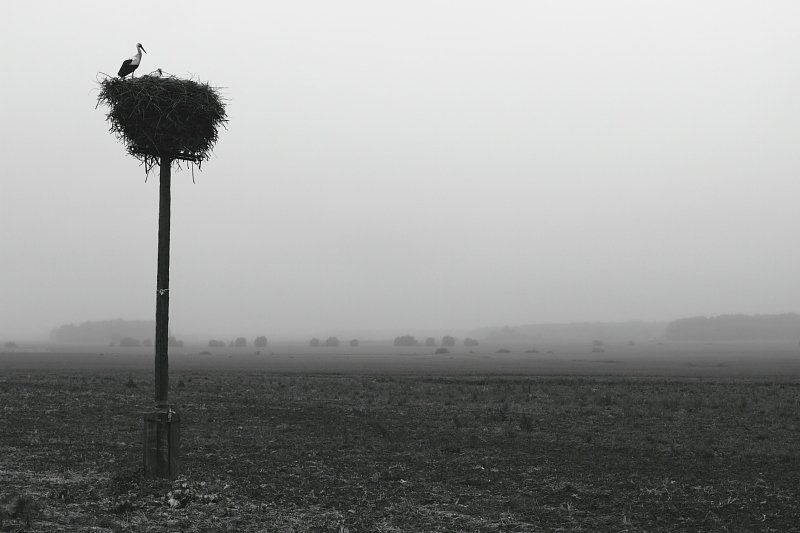 portfoliophoto preview