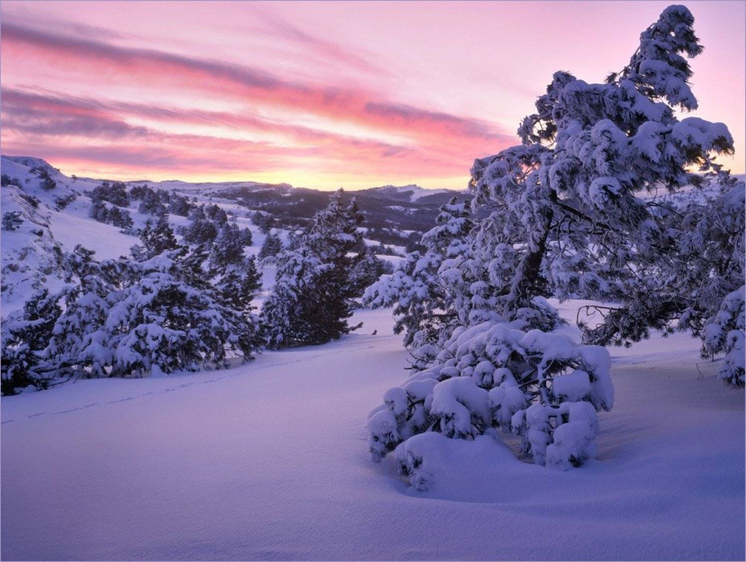 Автор: Алексей Пучков , Алексей Пучков