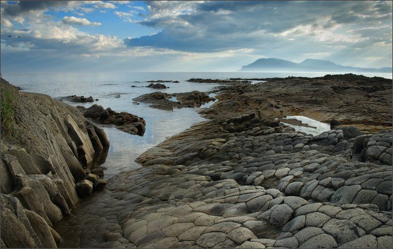 кунашир, столбчатый Столбчатыйphoto preview