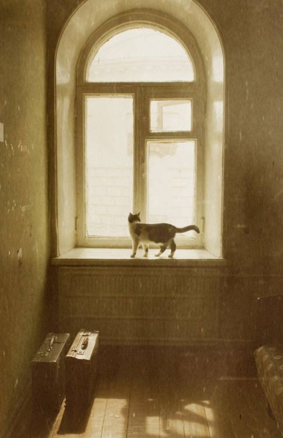 Скоро я останусь одна.... Автор: Елена Воеводина , Елена Воеводина