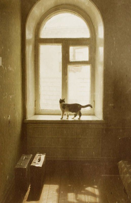 Скоро я останусь одна... фото превью