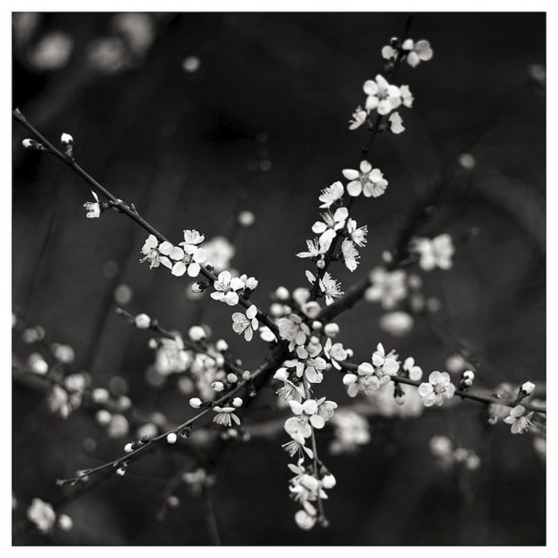 пленка, в, квадрате Мир в квадратеphoto preview