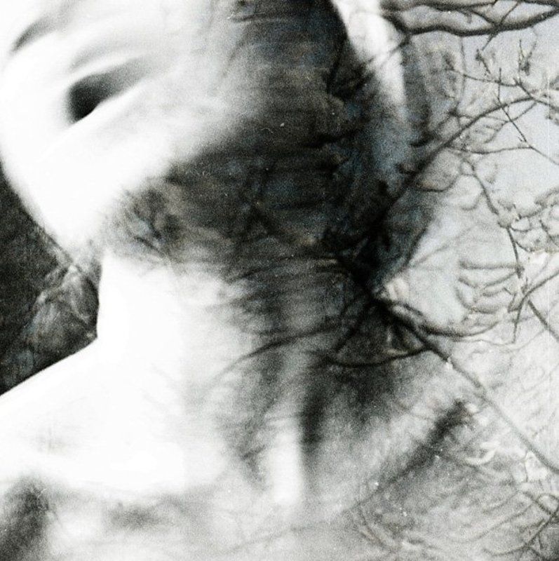 везде зимаphoto preview