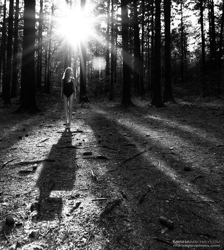 Visitor 2 фото превью