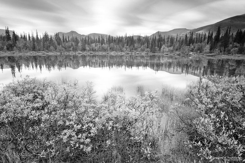 осень, горы, хибины, рисйок, заполярье, лес, куэльпорр, путеличорр, часначорр, петрелиуса, пуайявр, озеро, круглое, безымянное Пуайявр - круглое озероphoto preview