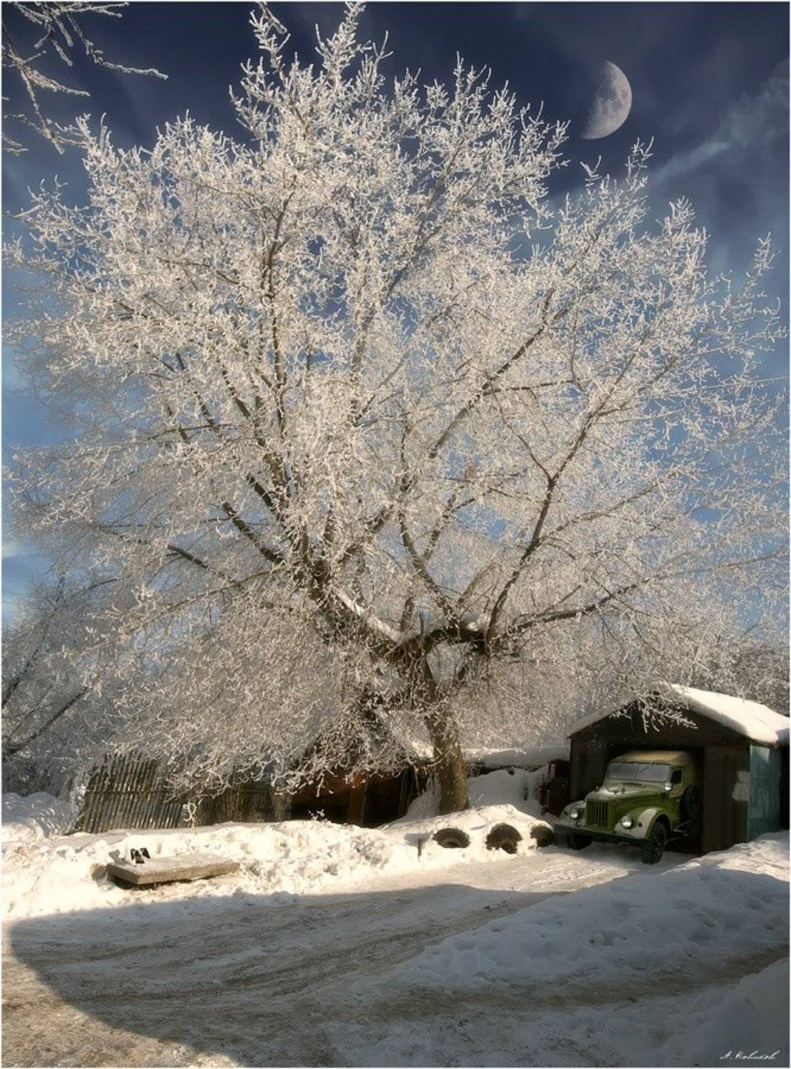 , Алексей Новиков