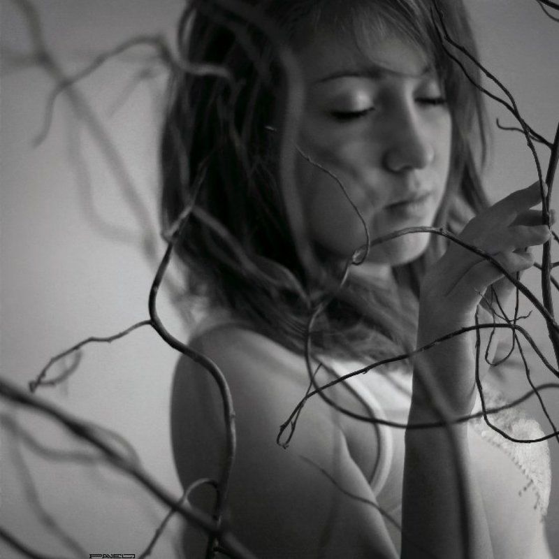 alone .photo preview