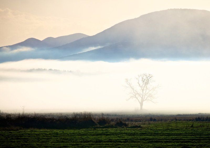 болгария Однажды утромphoto preview
