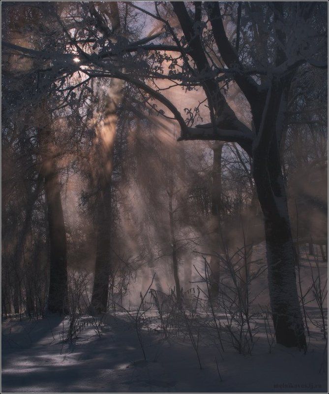 Там, где исчезают вечерние лучиphoto preview