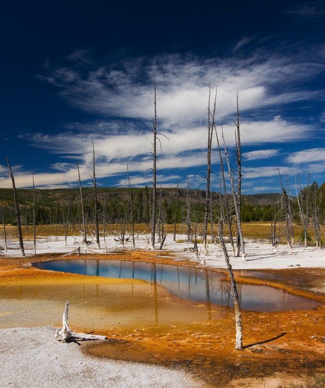Разлитые краски осениphoto preview