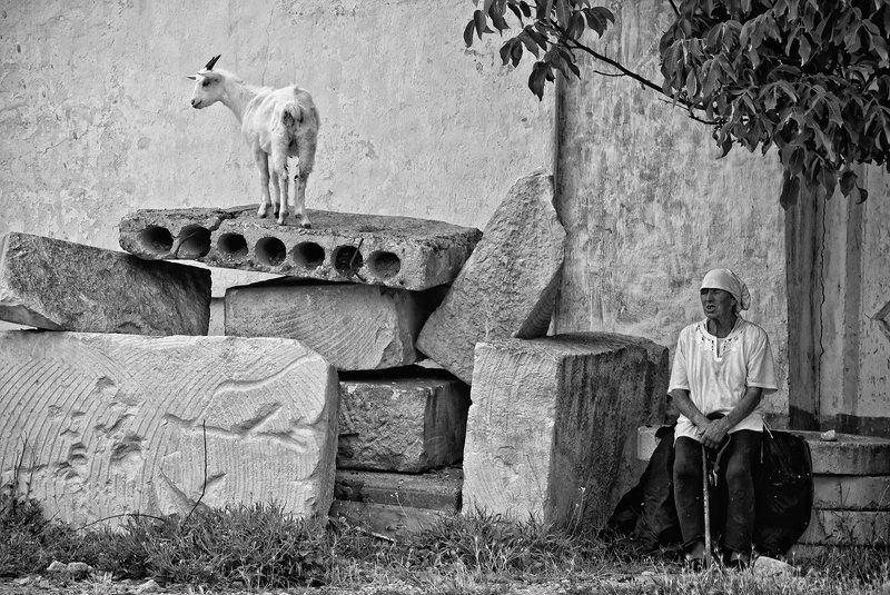 коза, бабушка, ч/б фото, жанр, Подружкиphoto preview