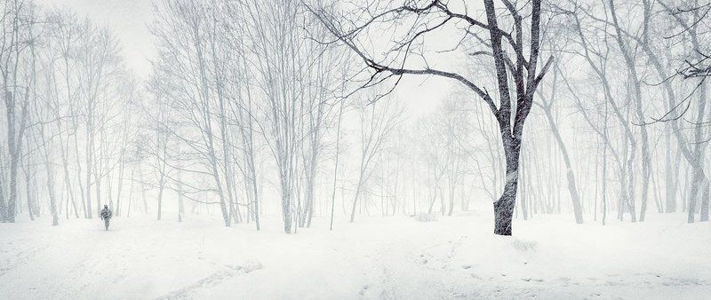 ***********************photo preview