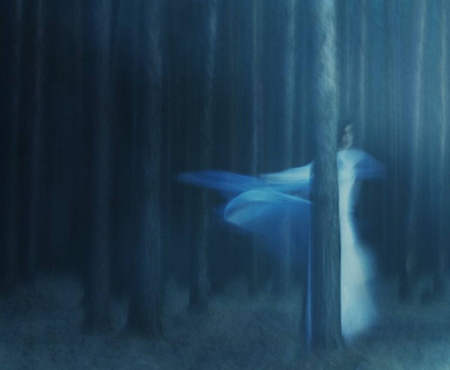 , Елена Воеводина