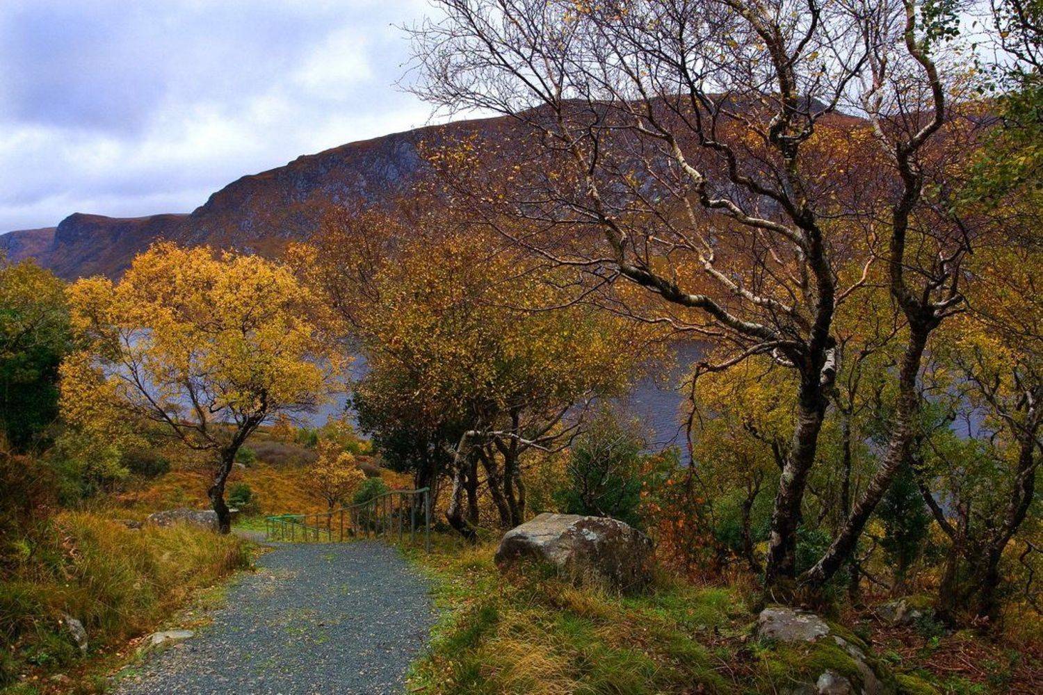 ирландия, осень,, Екатерина Богданова