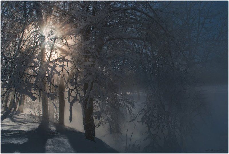 Вечер у зимней рекиphoto preview