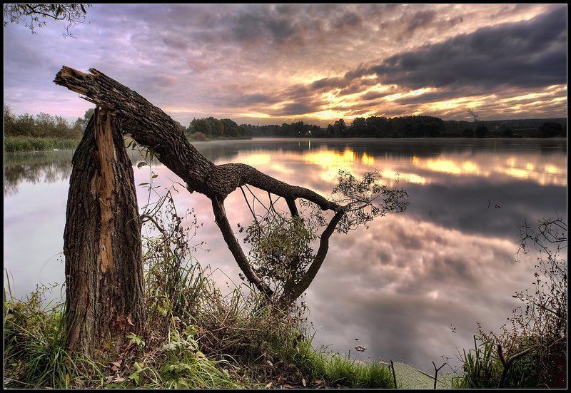 рассвет вспоминая прошедшую осеньphoto preview