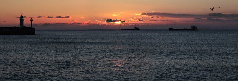 К югу от границы, на запад от солнцаphoto preview