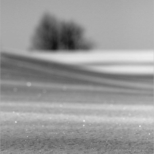 Весенний мираж...). Автор: Дмитрий Алексеев , Дмитрий Алексеев