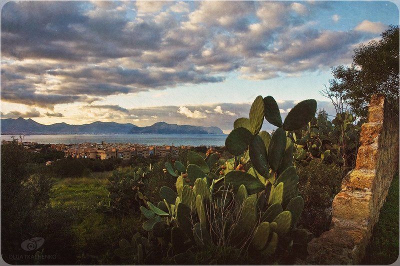 сицилия, аспра, пейзаж Сицилийские зарисовки. Окрестности моего городка...photo preview