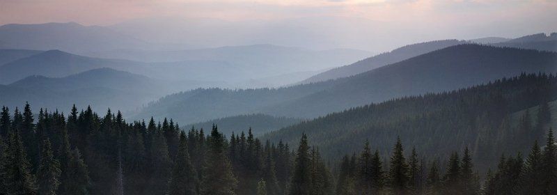 карпаты, осень, природа, пейзаж, , лес, горы, вечер ***photo preview