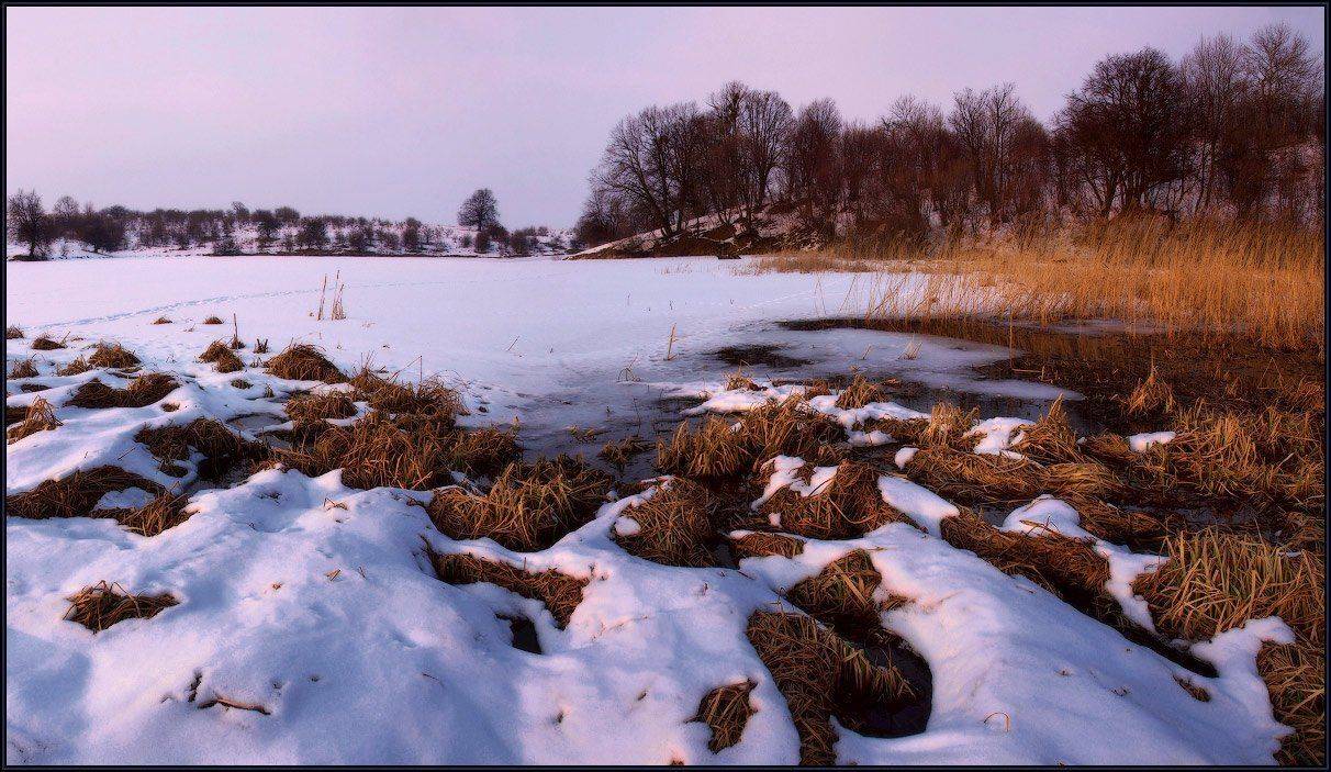 Предчувствие весны. Автор: Владимир март, вечер, пруд, оттепель, Владимир