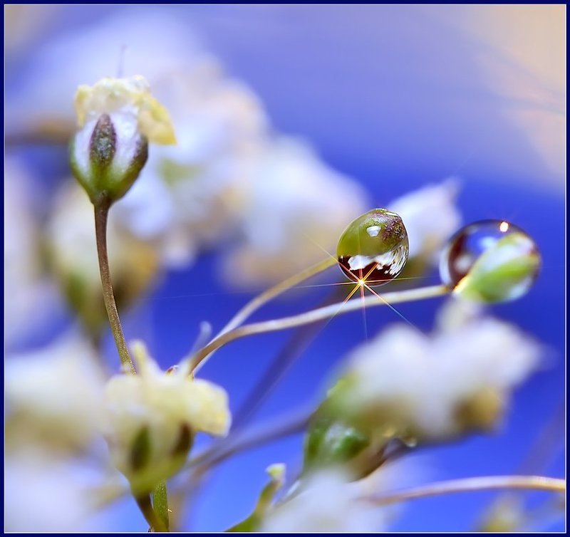 Искра жизни.photo preview