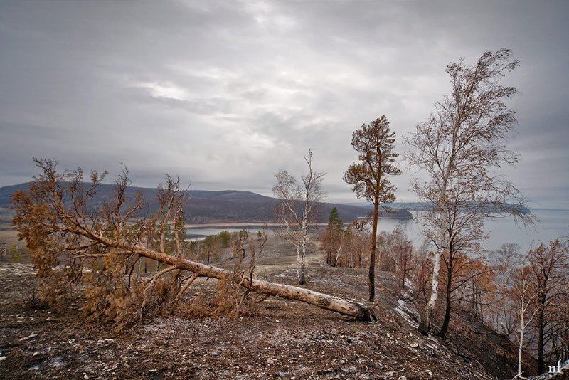 Сентябрьphoto preview