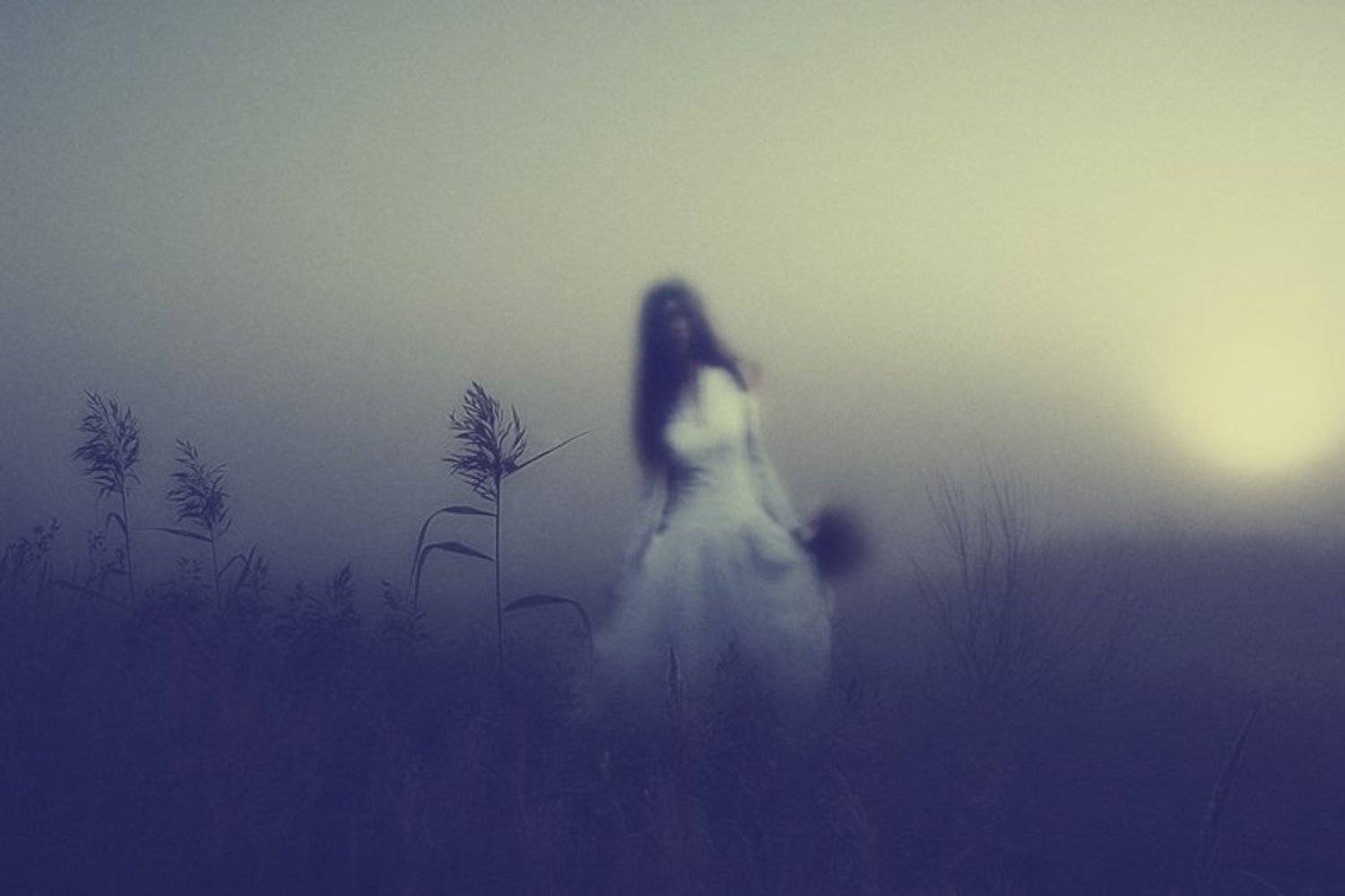 , Елена Воеводина