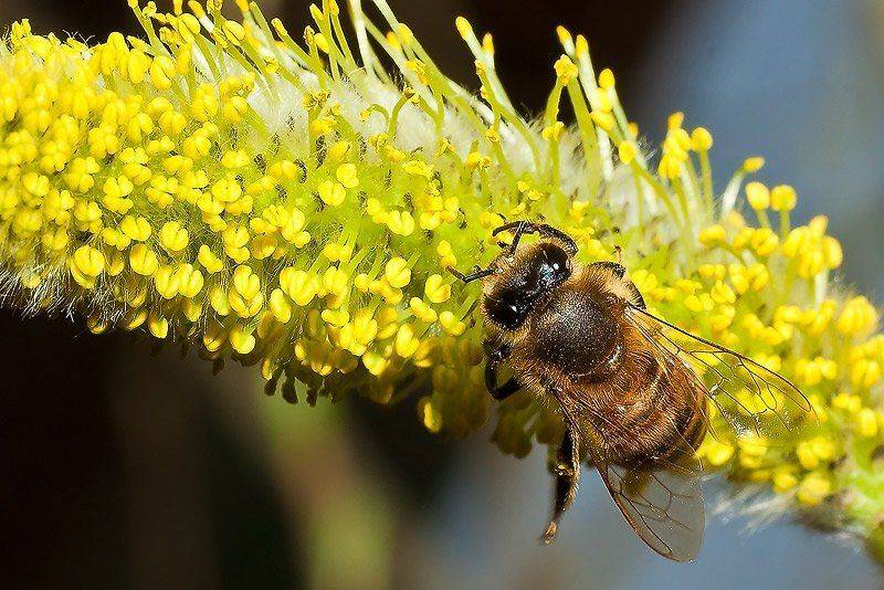 Ух, сколько ещё работы.... Автор: Качурин Алексей , Качурин Алексей