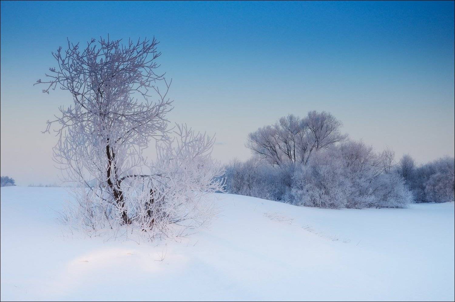 Холодное обаяние мартовского утра. Автор: Владимир Кириллов , Владимир Кириллов