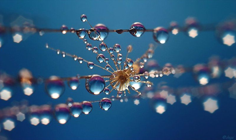 вода, капли Зажигая звёздыphoto preview