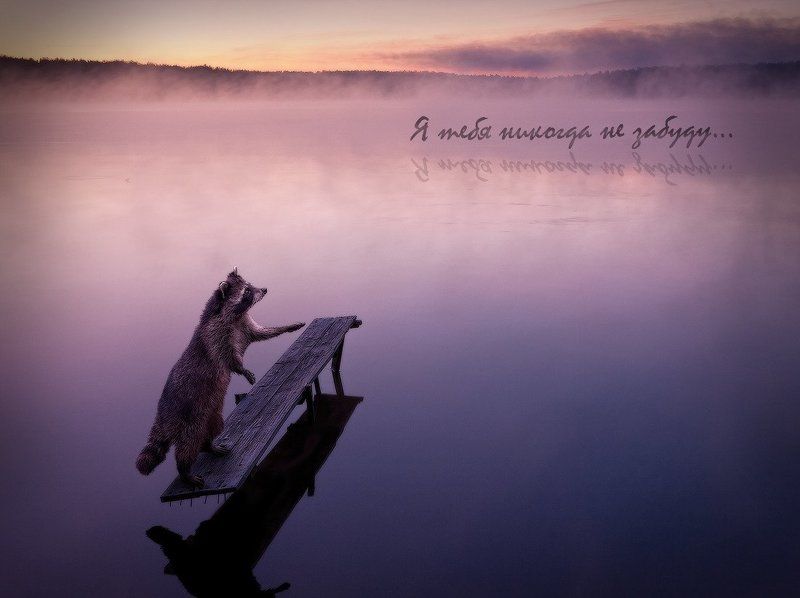 я тебя никогда не забуду...photo preview