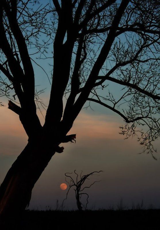 Мы даже мыслим по другому фото превью