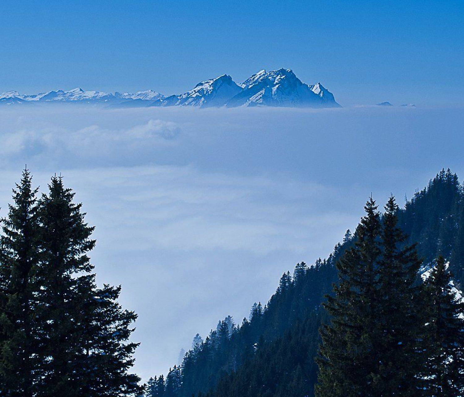 /\/\/\. Автор: Marina Patzen , Marina Patzen