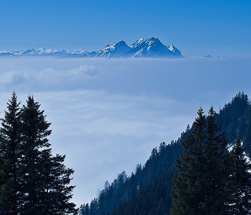 /\\/\\/\\photo preview