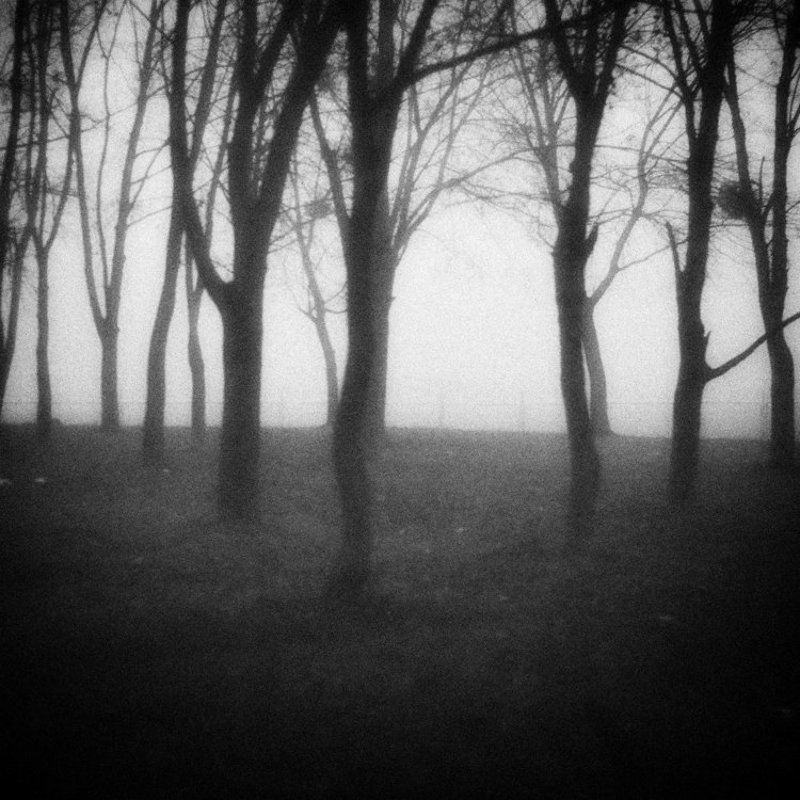 __I I I__photo preview