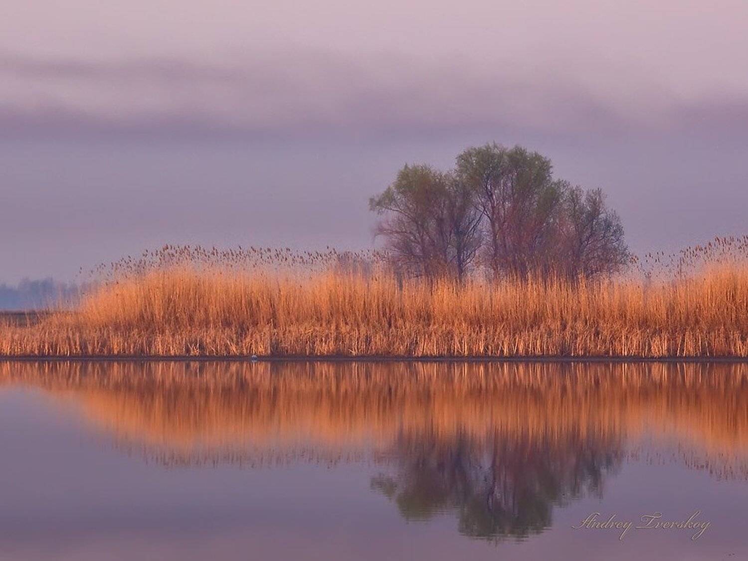 , Андрей Тверской