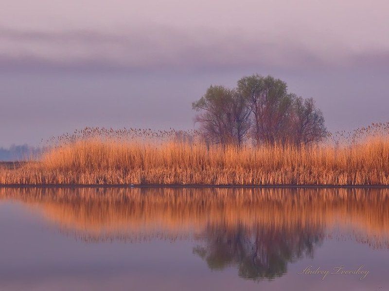 Фиолетовое утро.photo preview