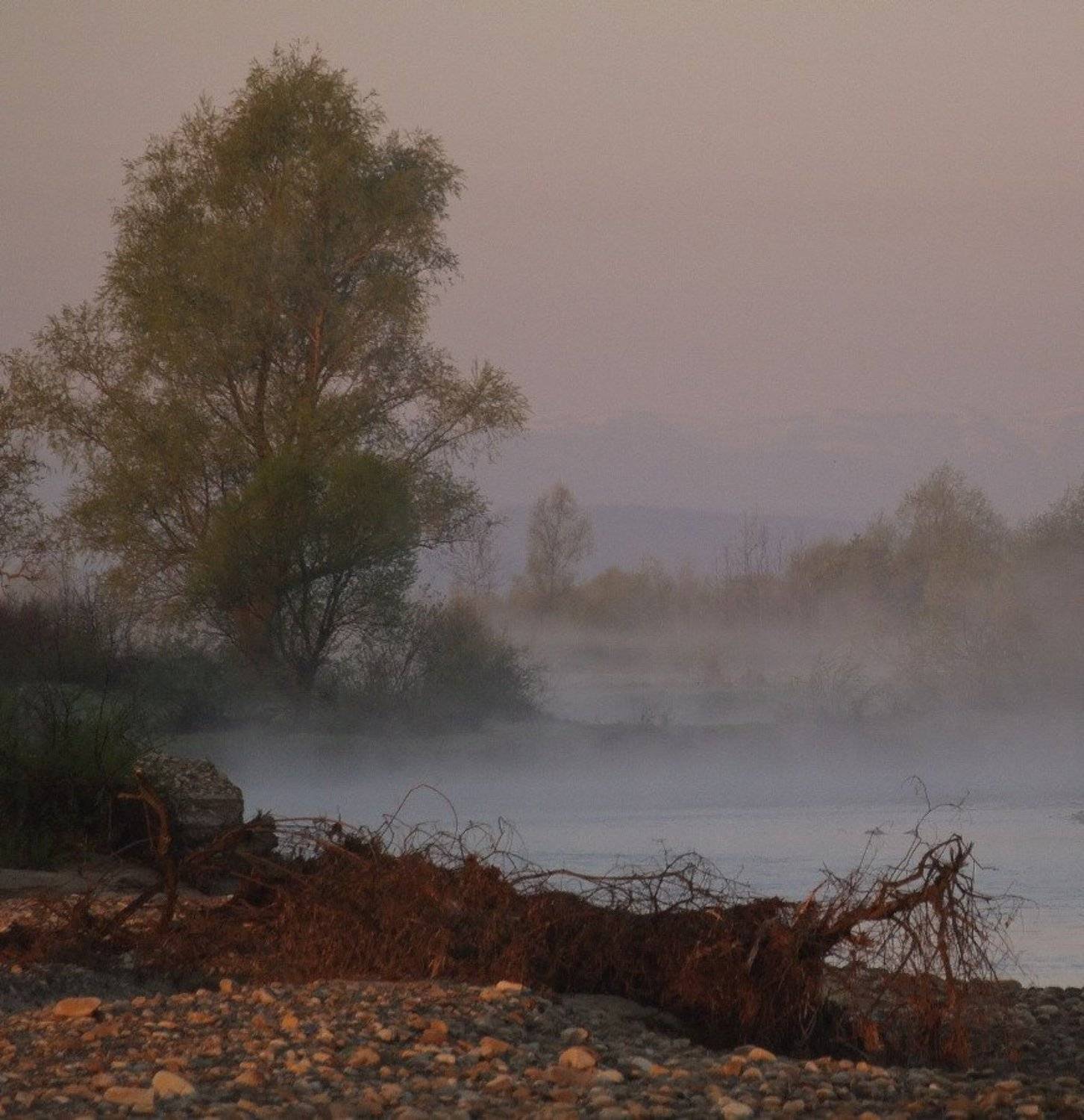 утро, весна, туман, Jaroslav