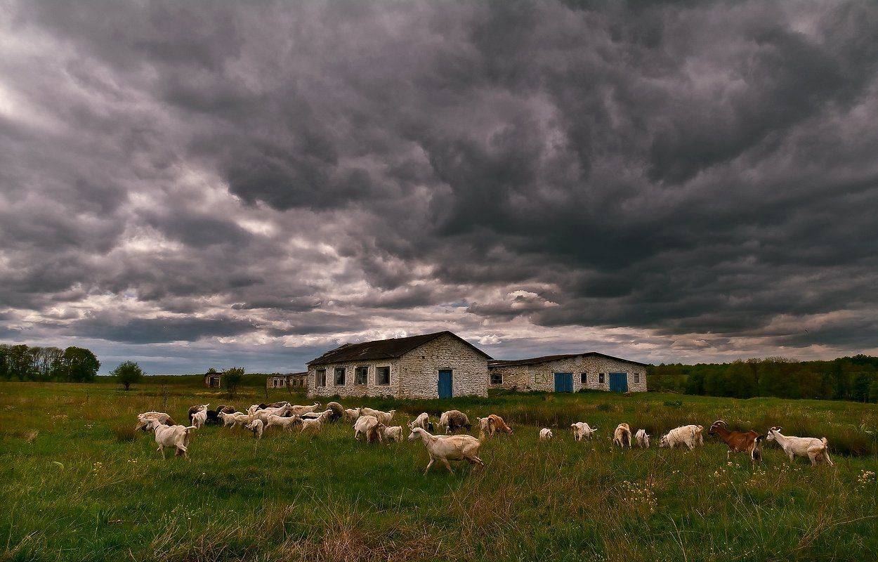 Вот так и живём. Автор: ФЁДОР , ФЁДОР