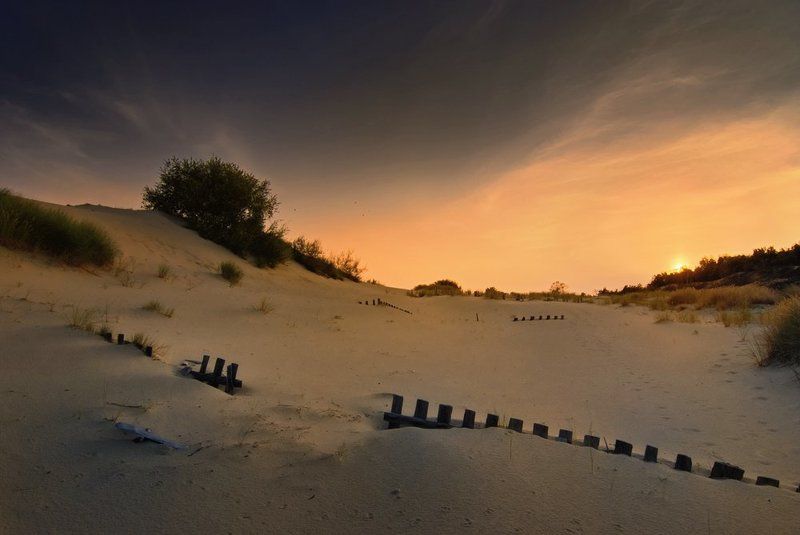 эфа Эфа на закате фото превью