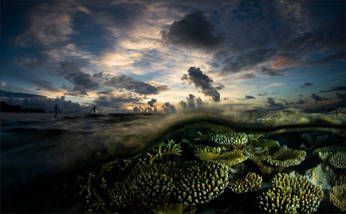 галимый_фотошоп, Нетушки