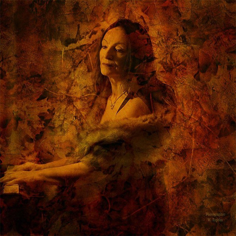 Осенний ноктюрнphoto preview