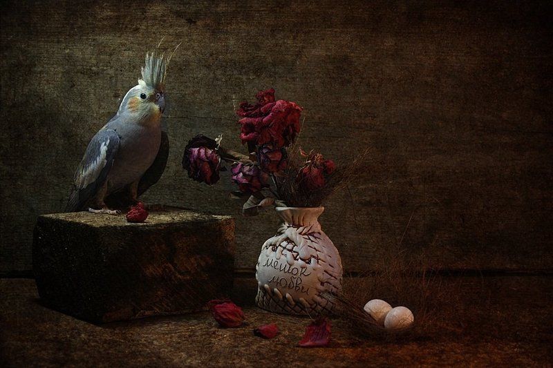 .... твои завяли розы...photo preview