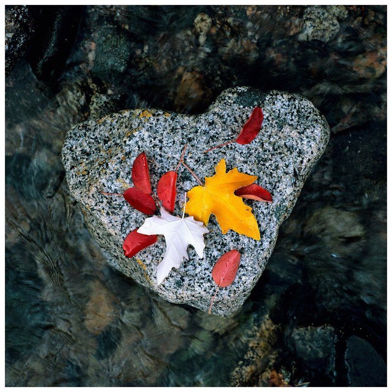 осення, подборка Осенняя подборкаphoto preview