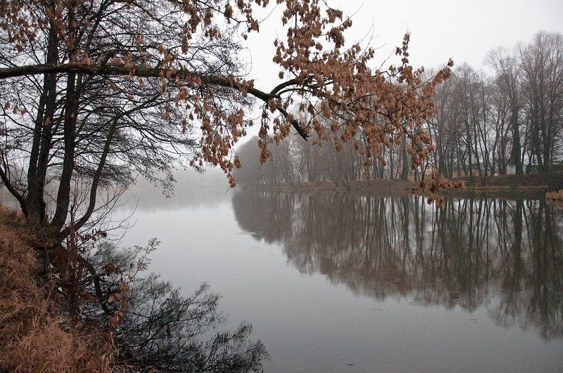 Последние дни осениphoto preview