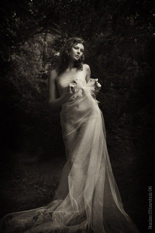 леснаяphoto preview